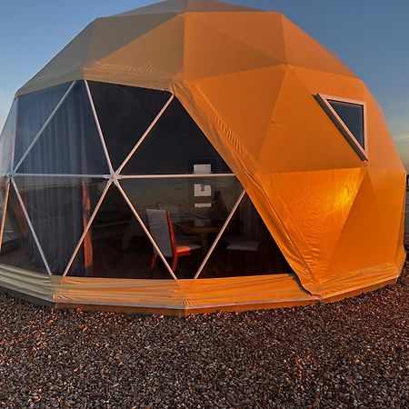 Вілла Nude Glamping Dome Віллкокс Екстер'єр фото